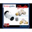 Danfoss Клапан RA-FN + термостатический елемент RAS-C + клапан запорный RLV-S угловой